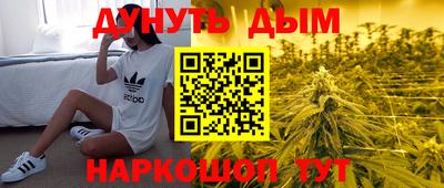 индика Кандалакша