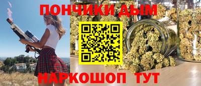 индика Кандалакша