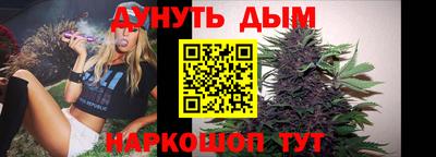 индика Кандалакша