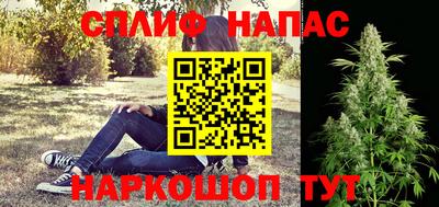 индика Кандалакша