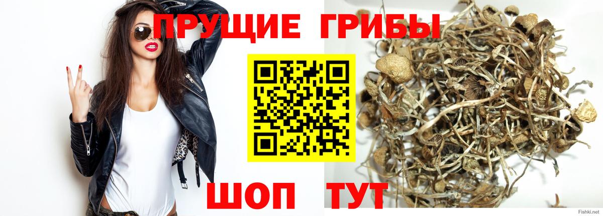 Псилоцибиновые грибы Cubensis  Вход с VPN  Лянтор 